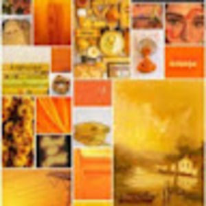 Meet your Posher, Layla